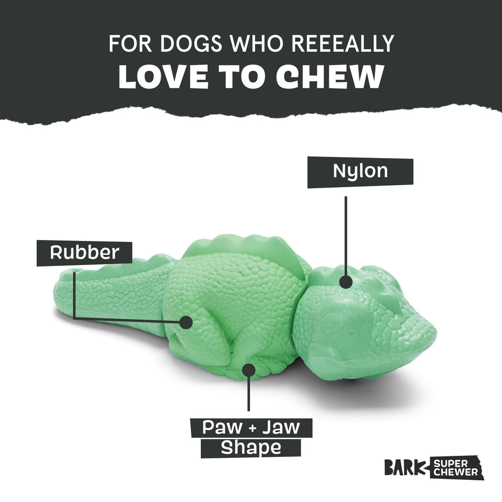 BarkBox Iguana Grande: textura de caucho y nylon para masticación intensa