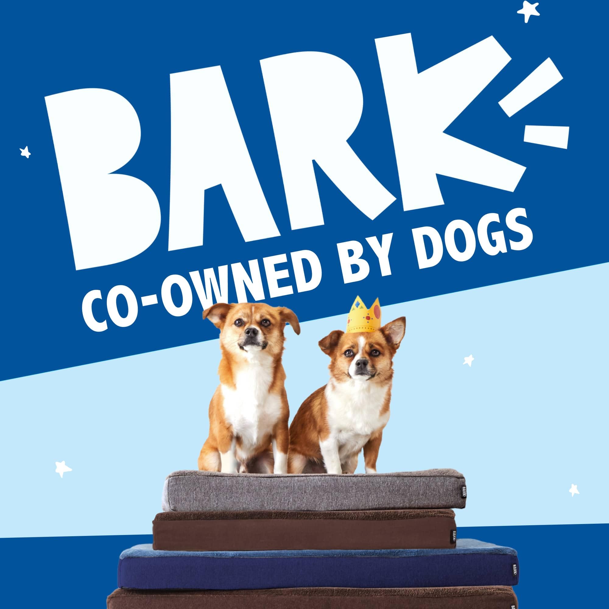 Juguete incluido con la cama BarkBox para perro