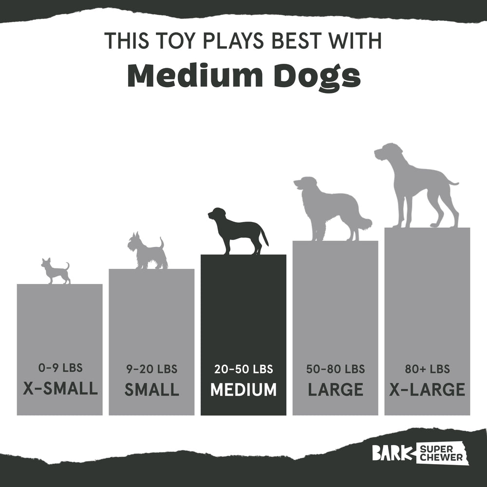 Diseño dental y estimulante de BarkBox Pumpkin Prodigy para masticación variada.