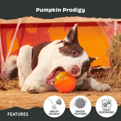 Rebote impredecible de BarkBox Pumpkin Prodigy para juego dinámico.