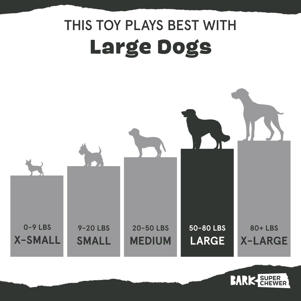 Barkbox limpieza fácil: sin cuerda ni relleno