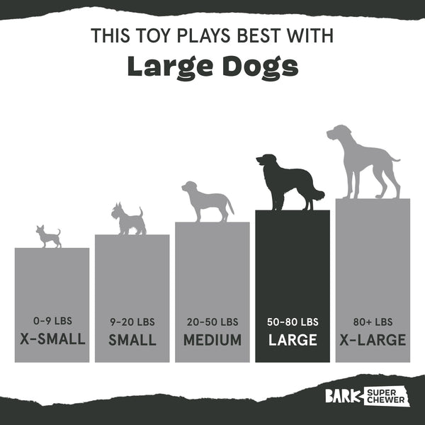 Barkbox limpieza fácil: sin cuerda ni relleno