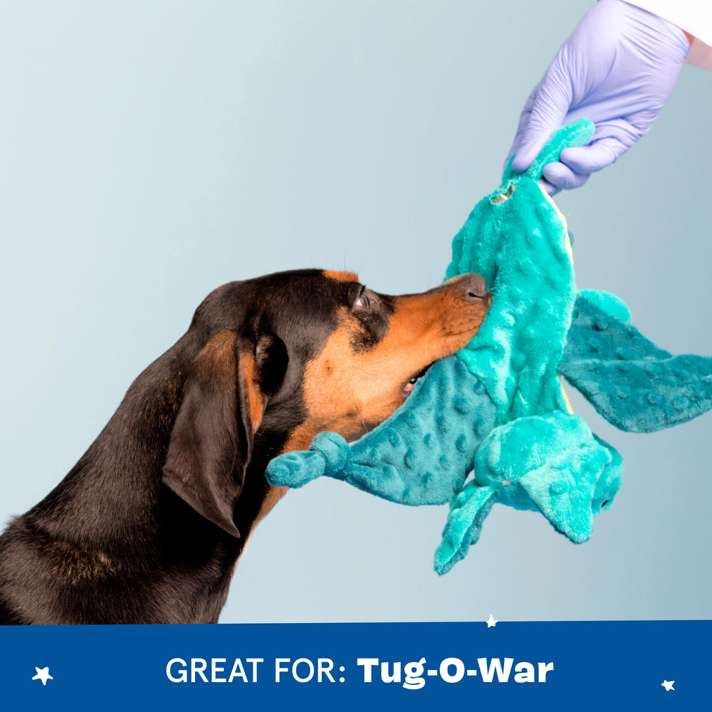 BarkBox Ollie el pulpo, bola espinosa para morder y reavivar el juego.