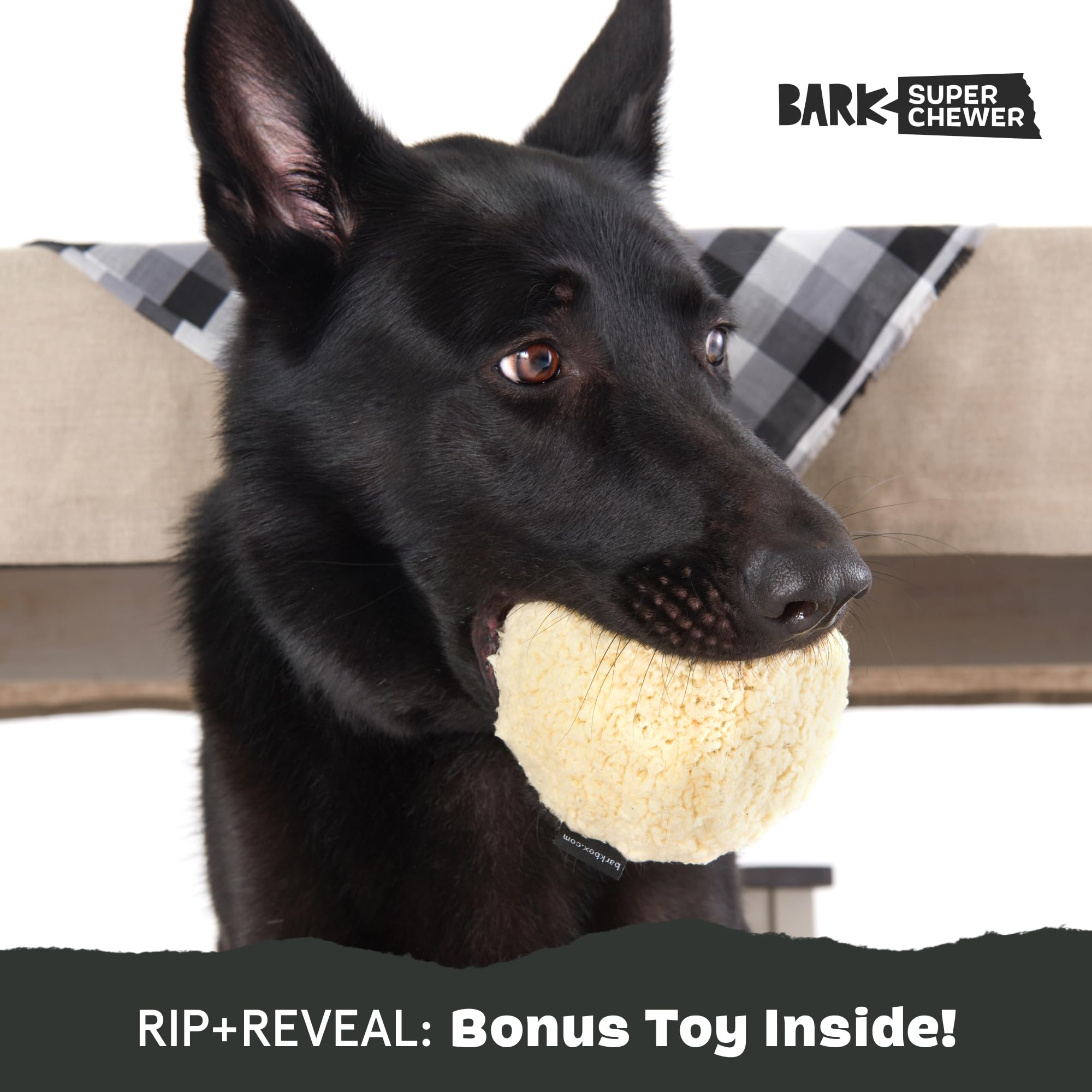 Juguete BarkBox Potato 2-en-1, aromas atractivos que invitan al juego.