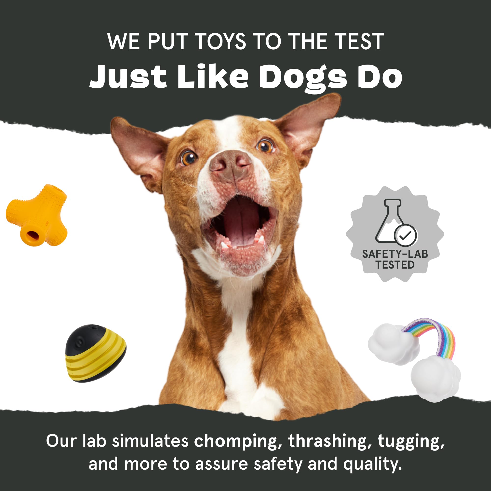 Diseño estimulante de Barkbox Chopper Pequeño para masticadores activos.
