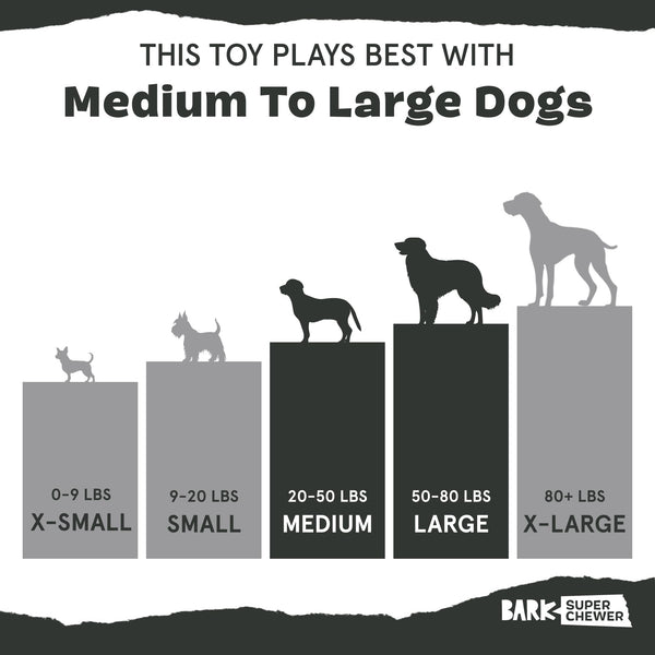 BarkBox Super Chewer: juguete de alta calidad diseñado en Nueva York.