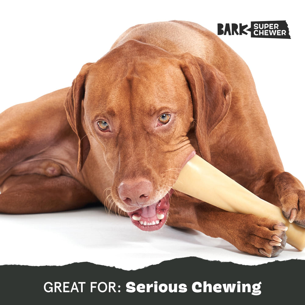 BarkBox Super Chewer: diseño estimulante con texturas variadas para masticar.