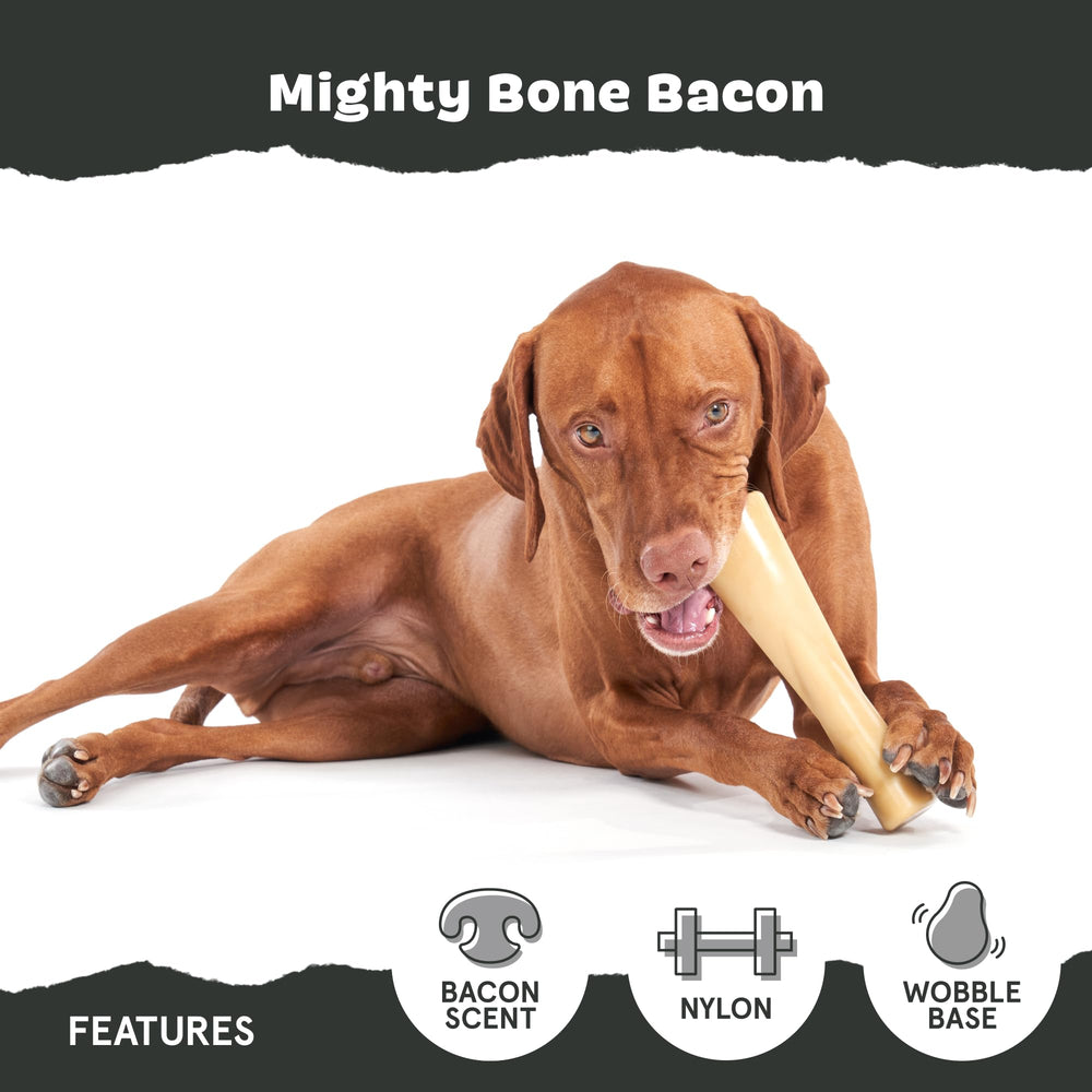 BarkBox Super Chewer: diseño apto para cachorros y perros adultos.