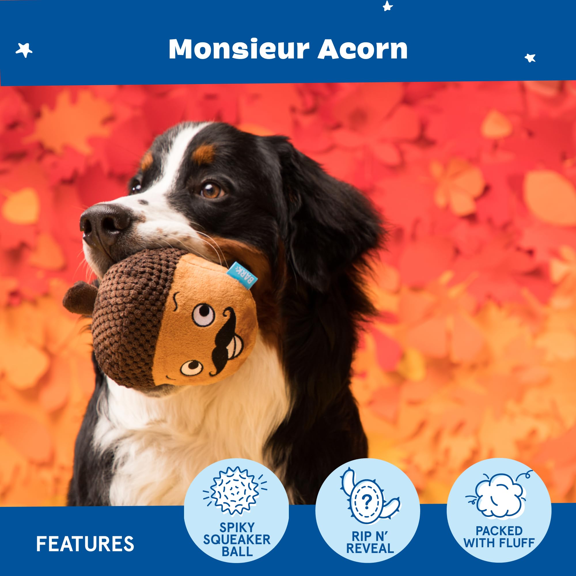 BarkBox Juguete con texturas sensoriales para cachorros y perros curiosos.