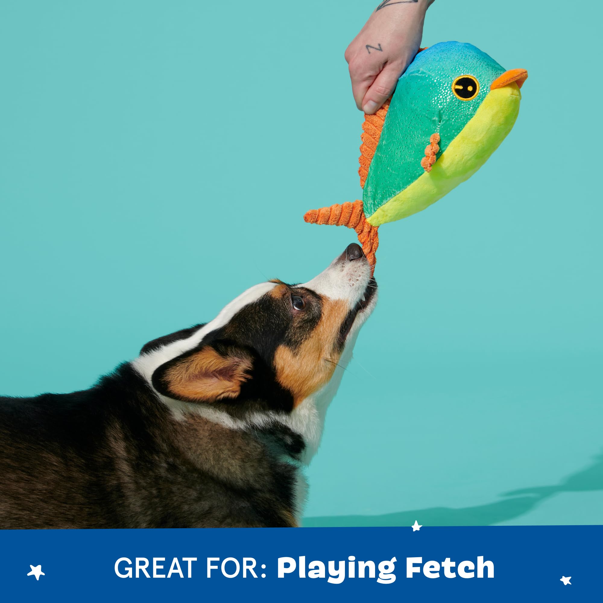 Juguete interactivo Barkbox resistente para sesiones de juego prolongadas