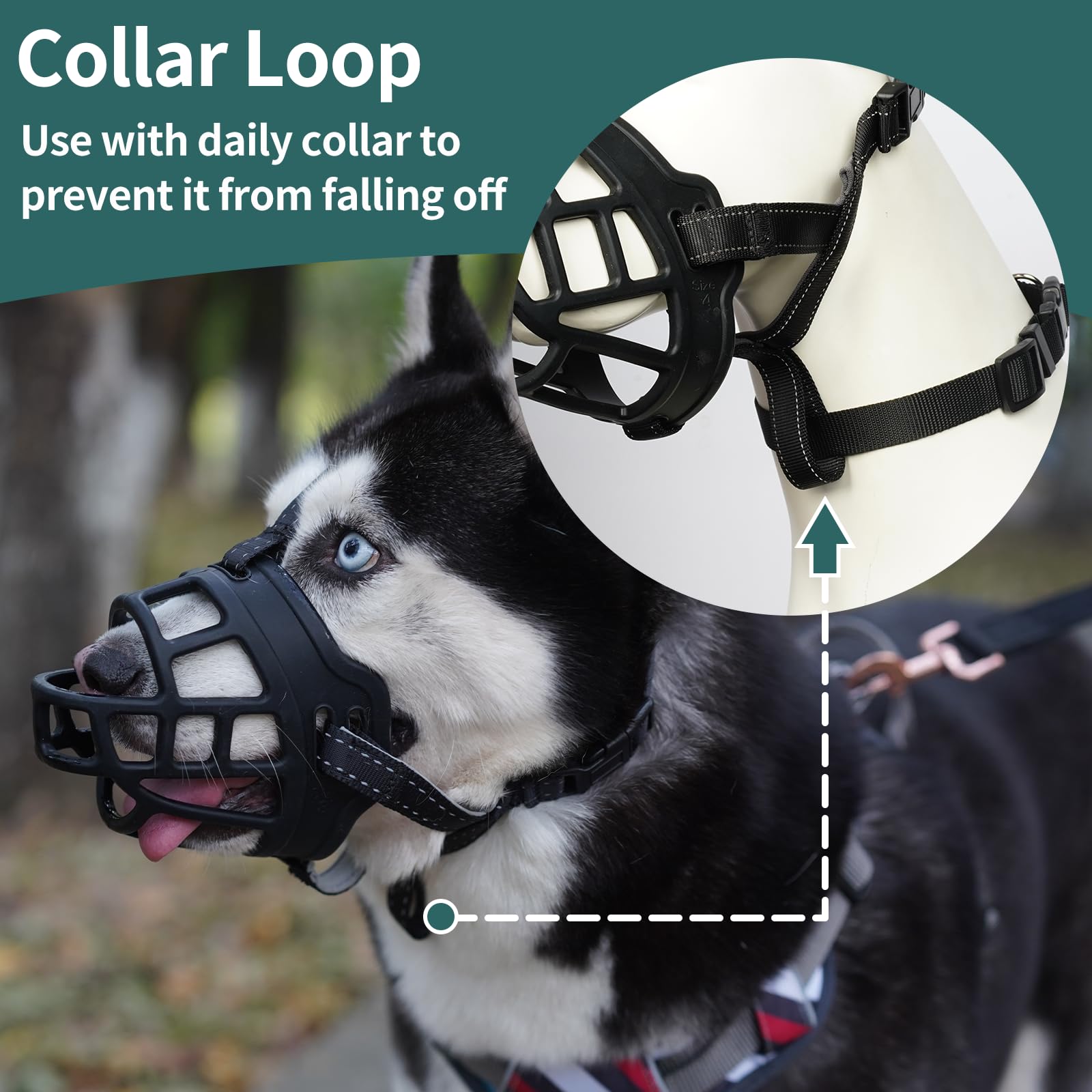 Bozal Barkless diseño ergonómico que facilita las visitas al veterinario.
