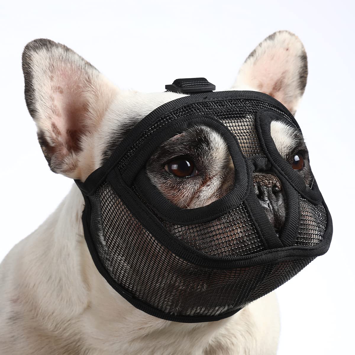 Bozal Barkless con hocico corto y malla aireada para paseos seguros