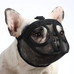 Bozal Barkless con hocico corto y malla aireada para paseos seguros