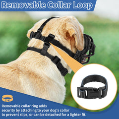 Bozal Barkless ligero para perros pequeños durante paseos.