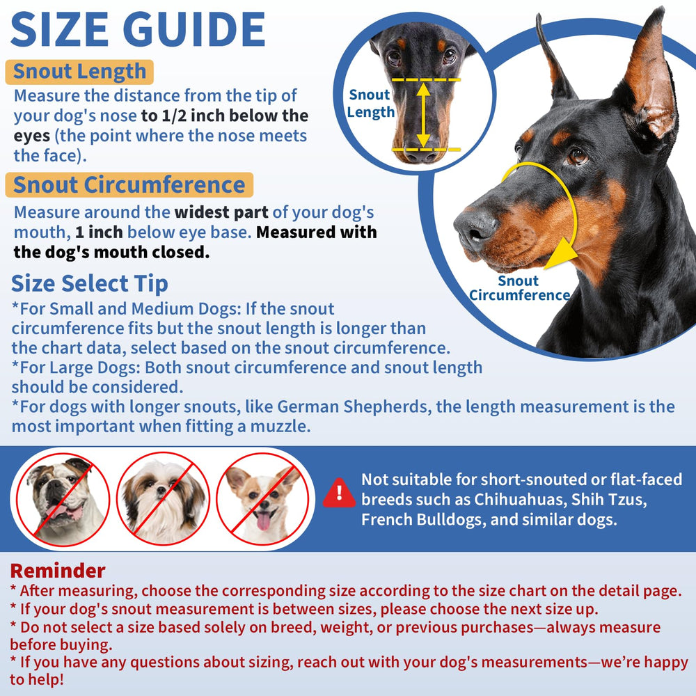 Bozal Barkless de estructura resistente y suave para perros activos.