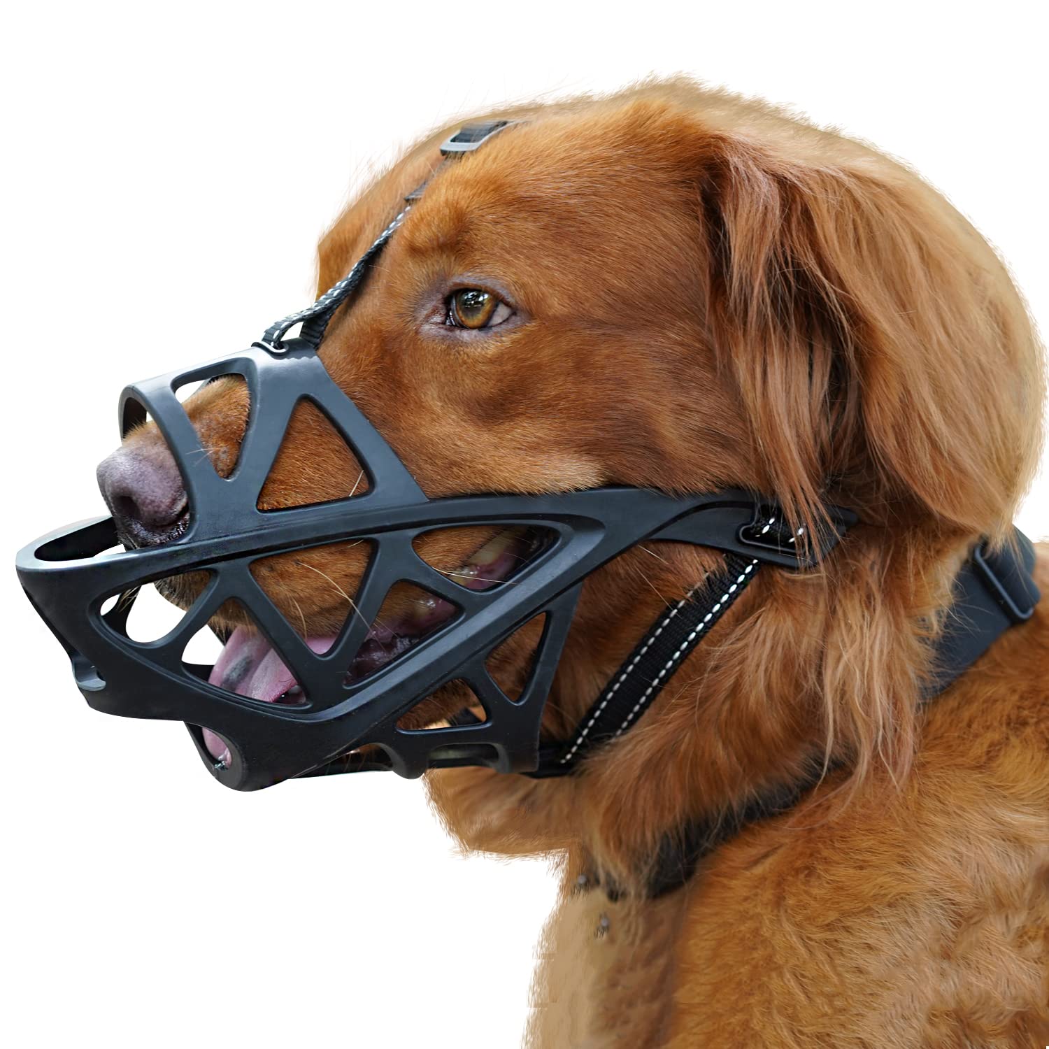 BARKLESS bozal suave, vista lateral de perro, comodidad mejorada.