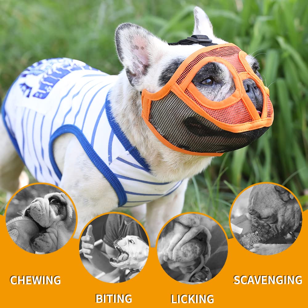Bozal Barkless para uso diario y paseos, protección sin restricciones.