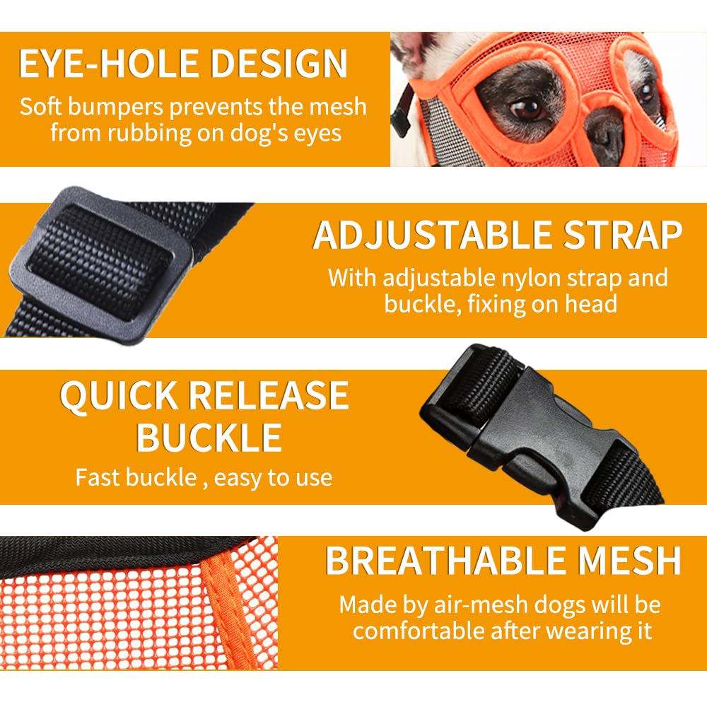 Bozal Barkless ideal para visitas al veterinario y grooming.