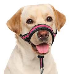 BARKLESS collar de cabeza para perro; cabezal patentado facilita paseos sin tirones.