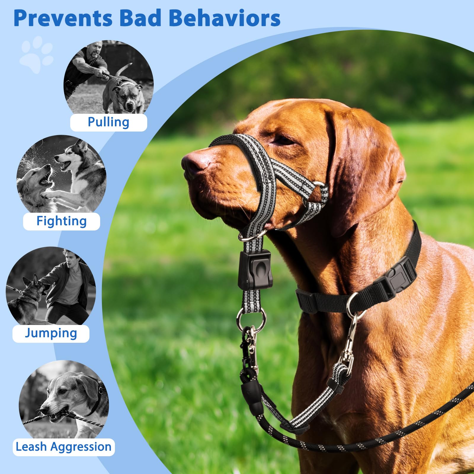 BARKLESS collar-ajuste-facil se coloca en segundos sin complicaciones.