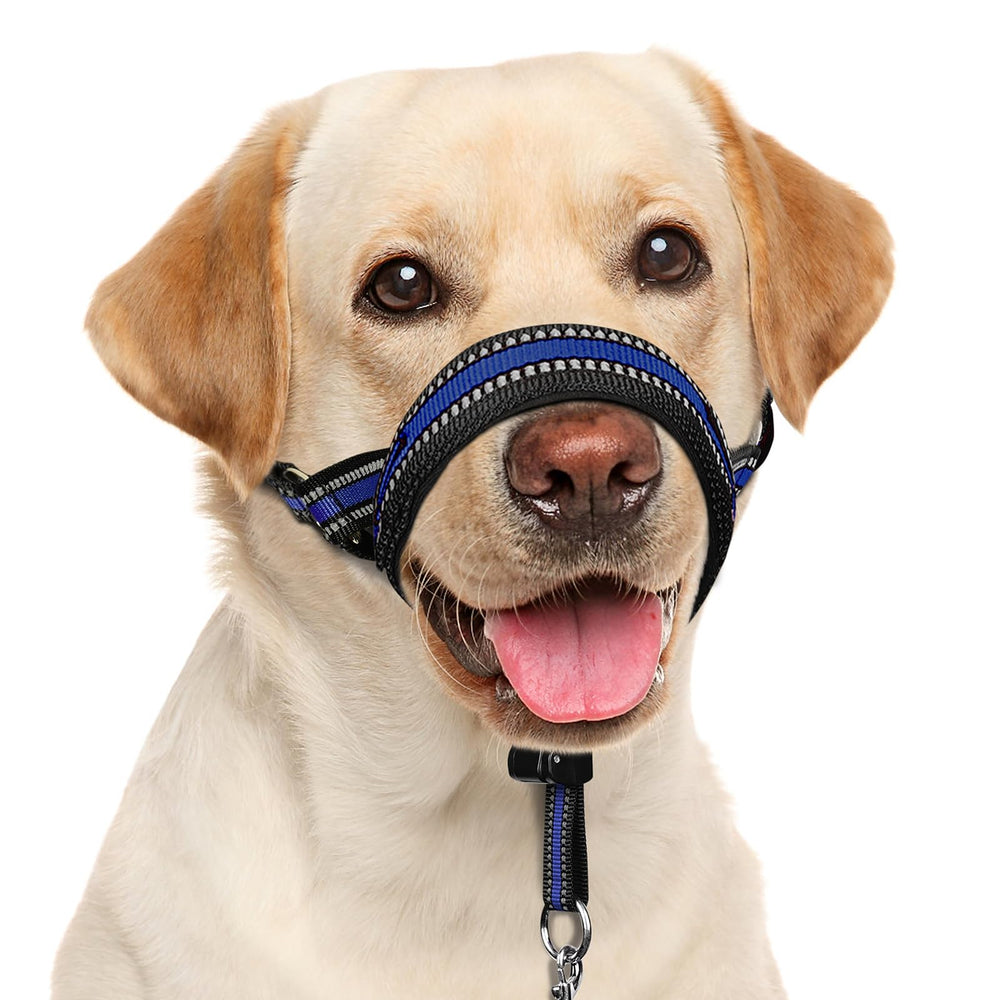 Barkless collar de cabeza ajuste rápido para paseos tranquilos.