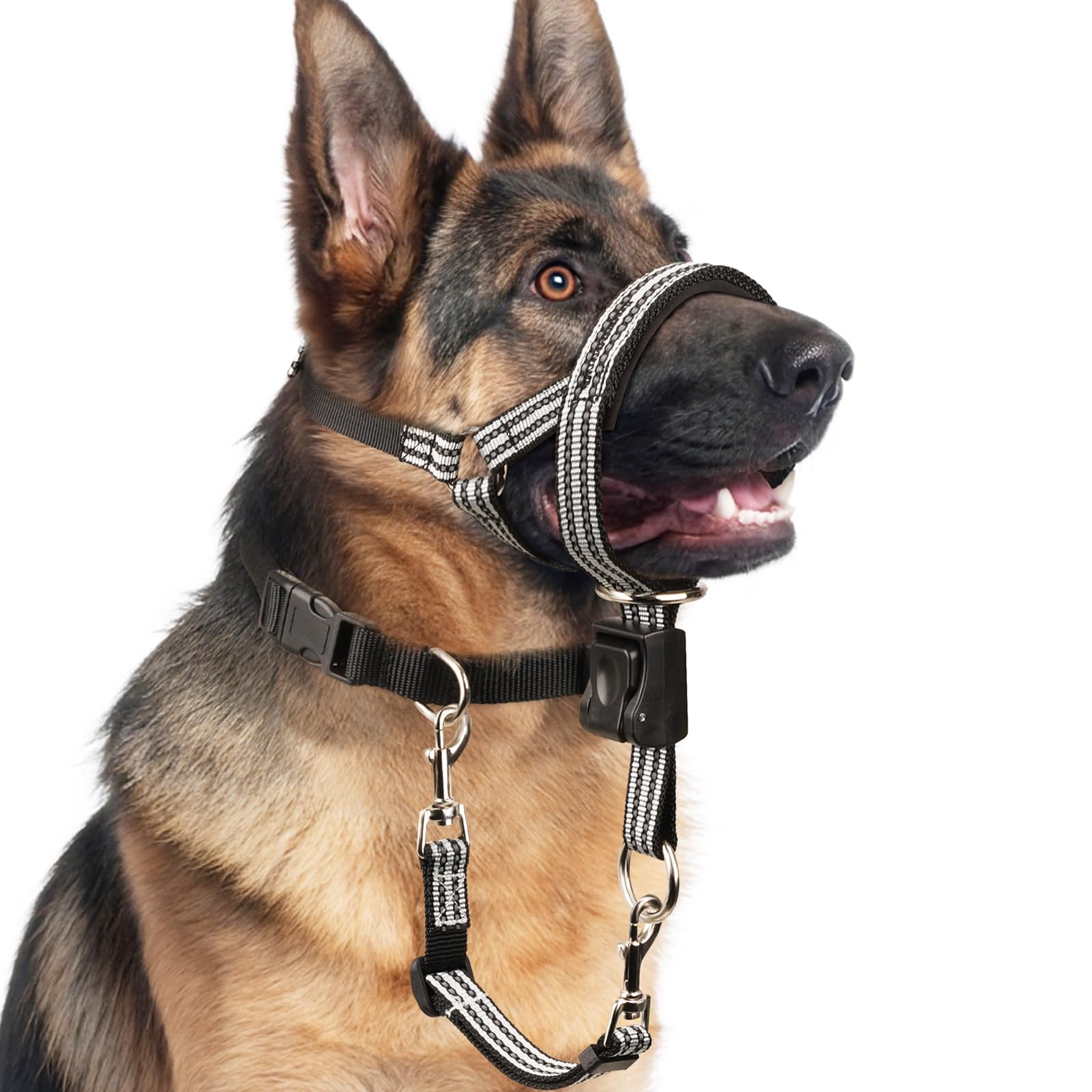 BARKLESS collar-cabeza-frontal para caminatas controladas y cómodas.
