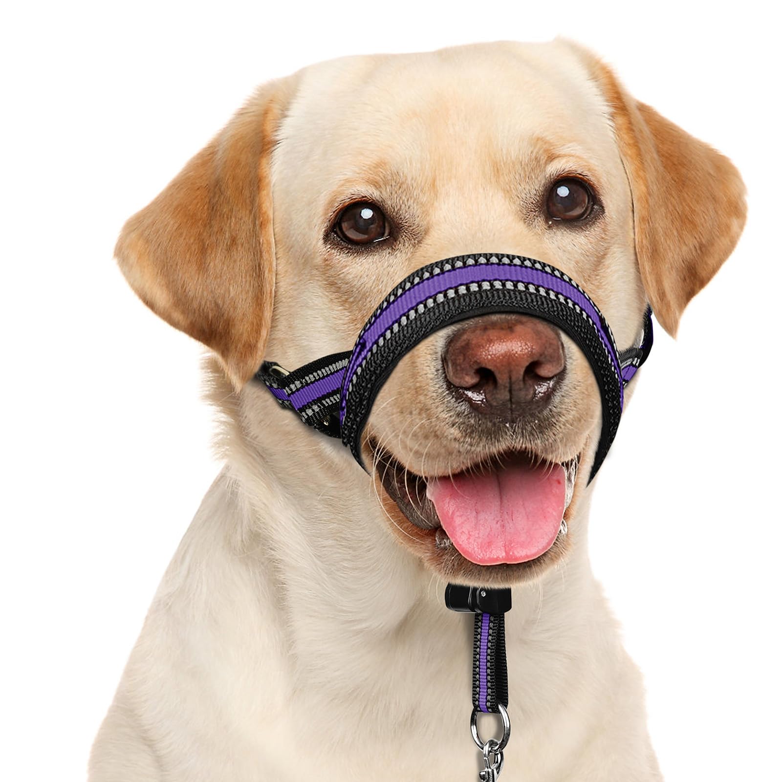 BARKLESS collar de cabeza con nariz acolchado para paseos cómodos.
