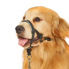 BARKLESS Collar de cabeza anti tirones para paseos más seguros.