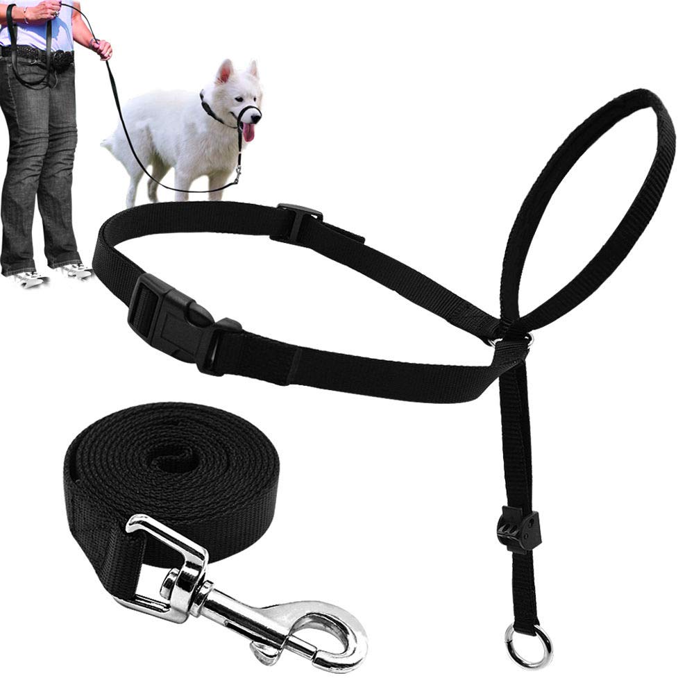 BARKLESS collar de cabeza para perro, frente visible, guía suave para paseos.
