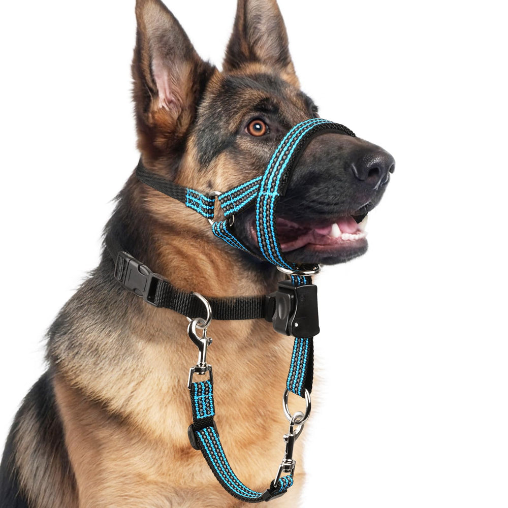 BARKLESS collar de cabeza sin tirón para paseos más tranquilos.