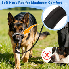 BARKLESS collar-conector-doble-clasp refuerza la seguridad en paseos.