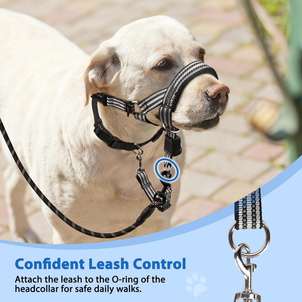 BARKLESS collar-paseo-diario ofrece confort en rutinas diarias.