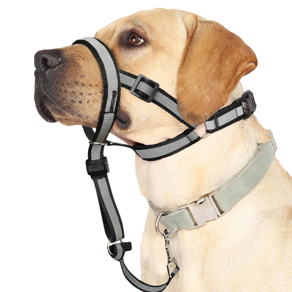 BARKLESS collar reflectivo para paseos más visibles por la noche