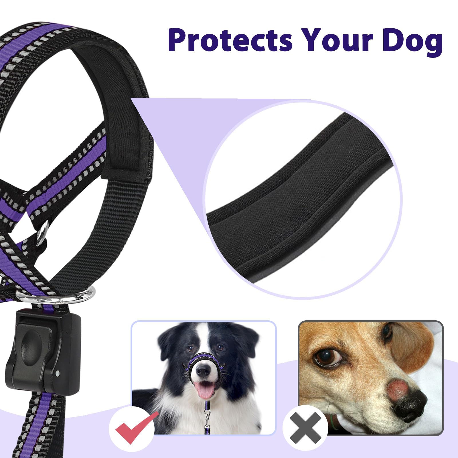 BARKLESS collar con reflectores para visibilidad diurna y nocturna.