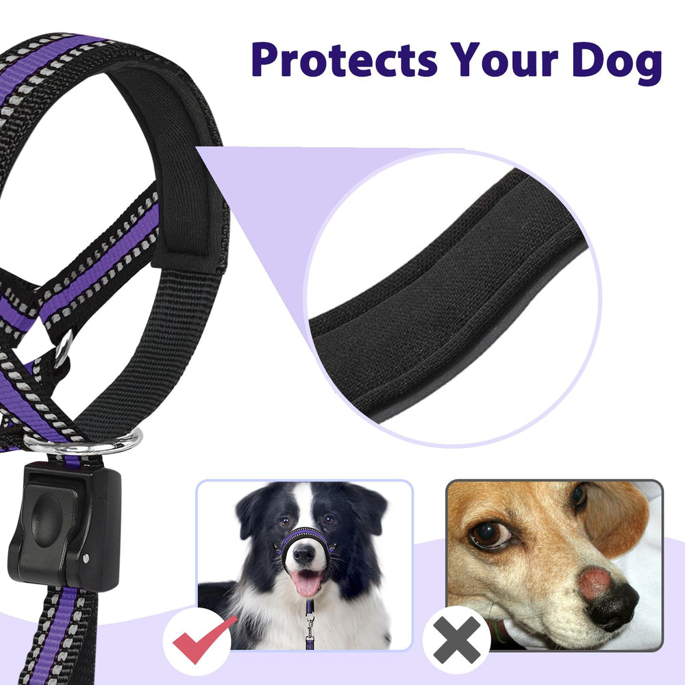 BARKLESS collar con reflectores para visibilidad diurna y nocturna.