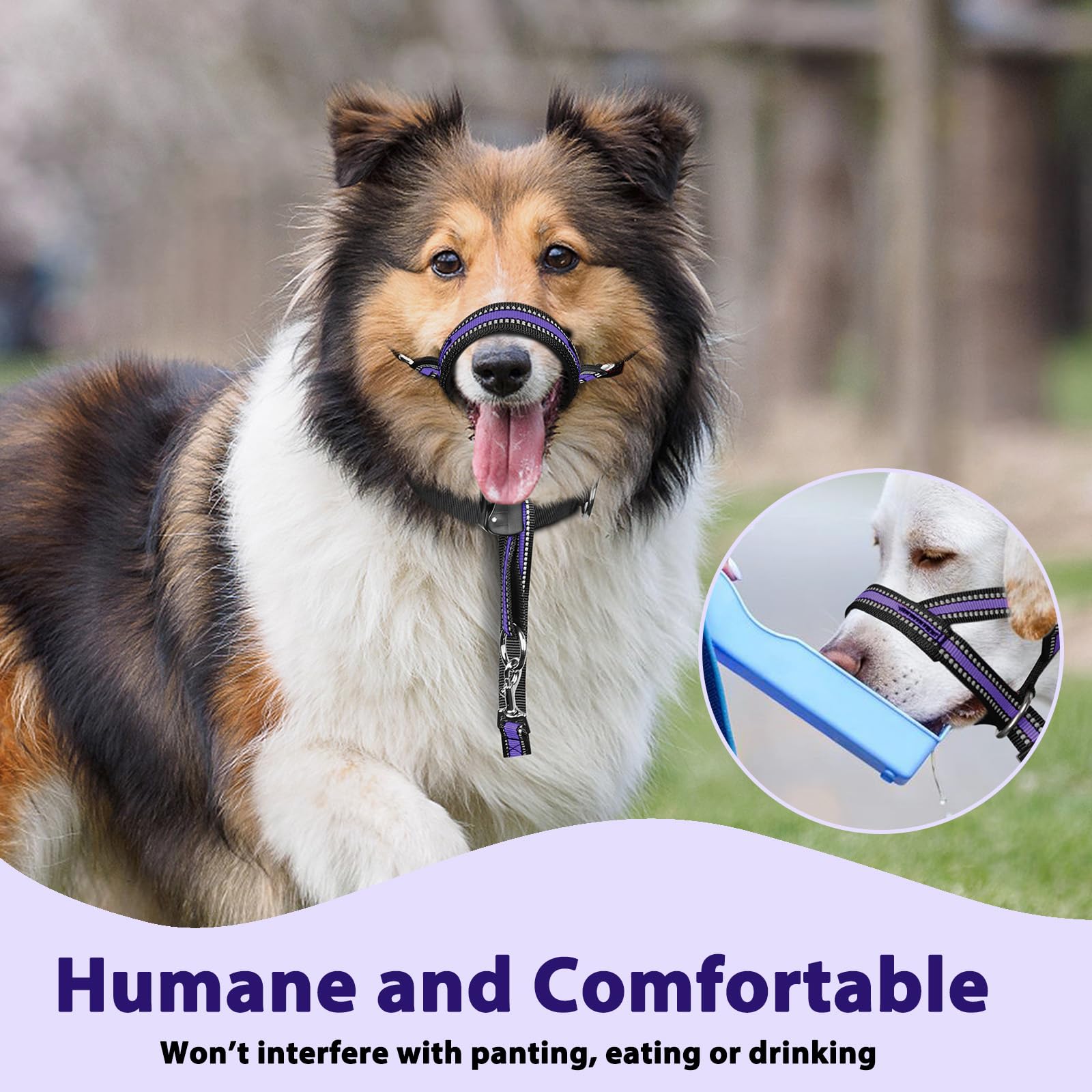 BARKLESS talla M para perros medianos, ajuste cómodo y seguro.