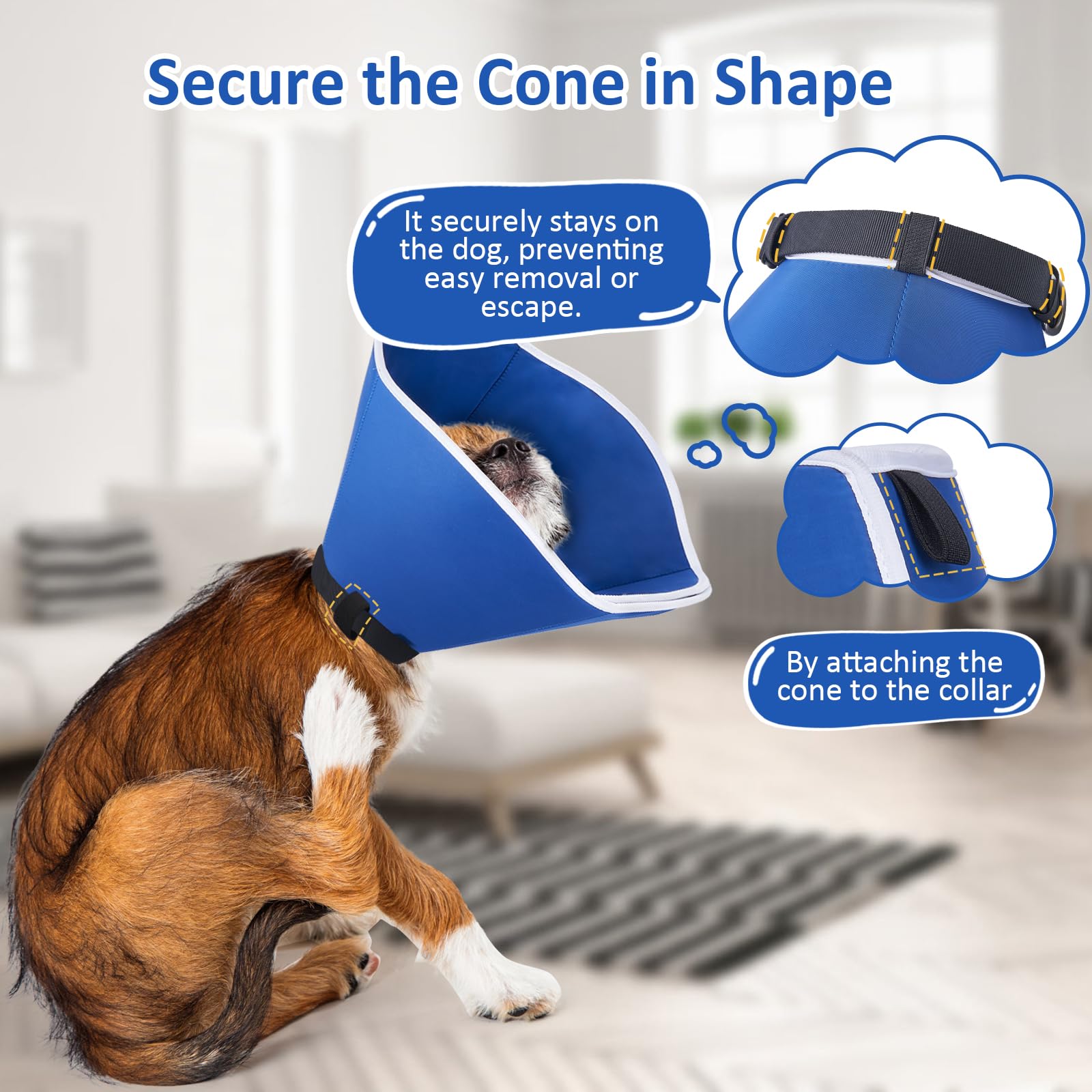 BARKLESS Cono práctico para casa facilita limpieza y uso diario