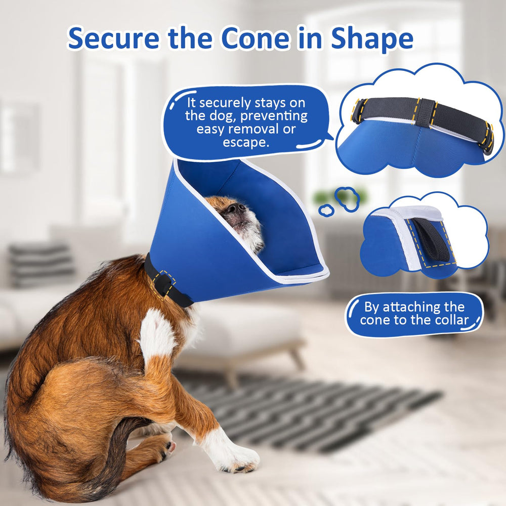 BARKLESS Cono práctico para casa facilita limpieza y uso diario