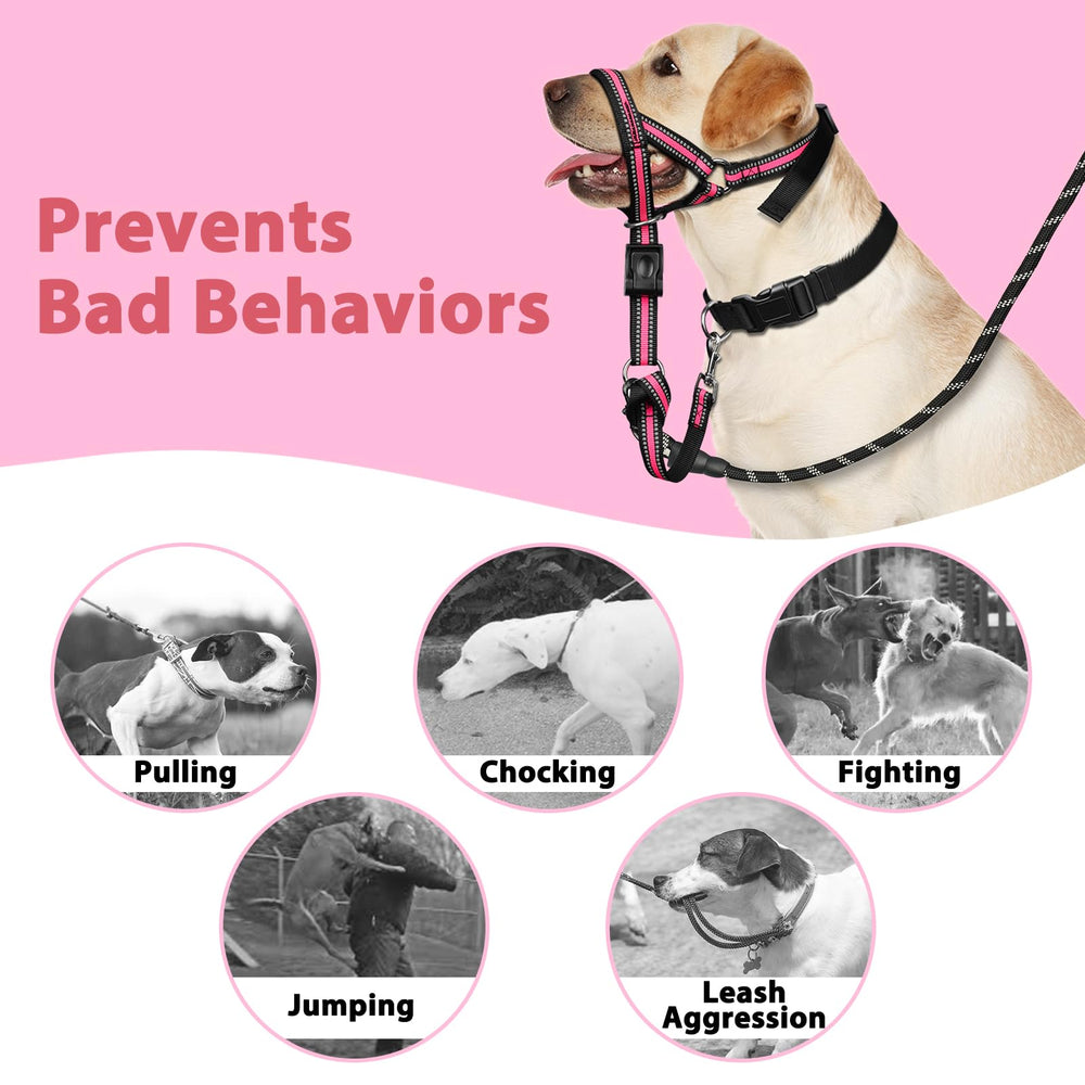 BARKLESS collar incluye correa de seguridad para mayor estabilidad.