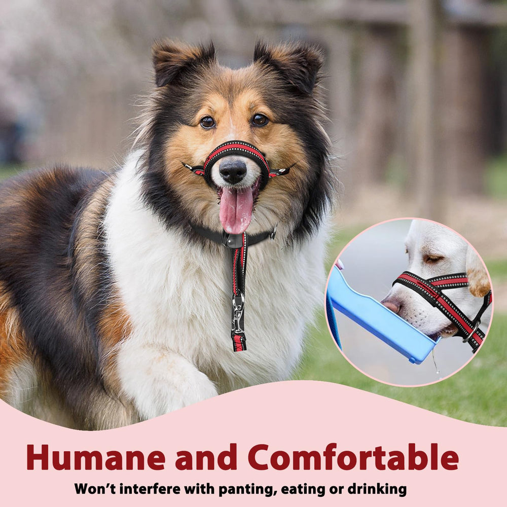 BARKLESS diseño de nylon resistente para uso diario.
