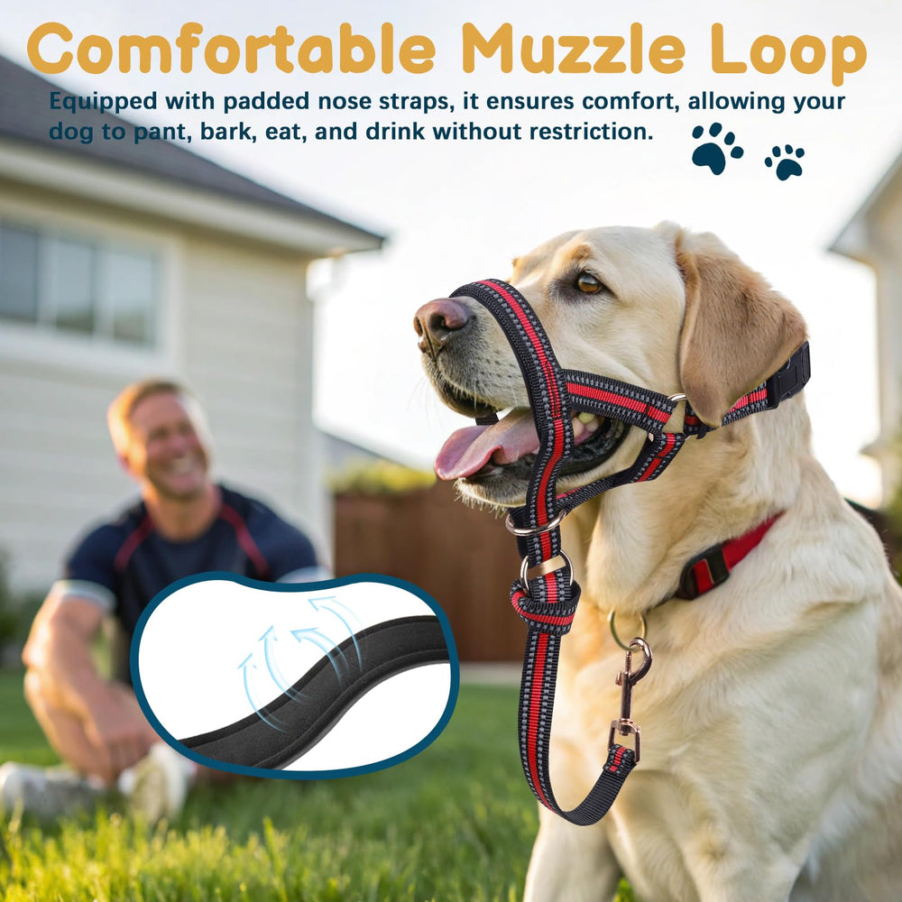 BARKLESS enlace de seguridad conecta con el collar para mayor seguridad durante el paseo.