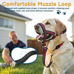 BARKLESS enlace de seguridad conecta con el collar para mayor seguridad durante el paseo.