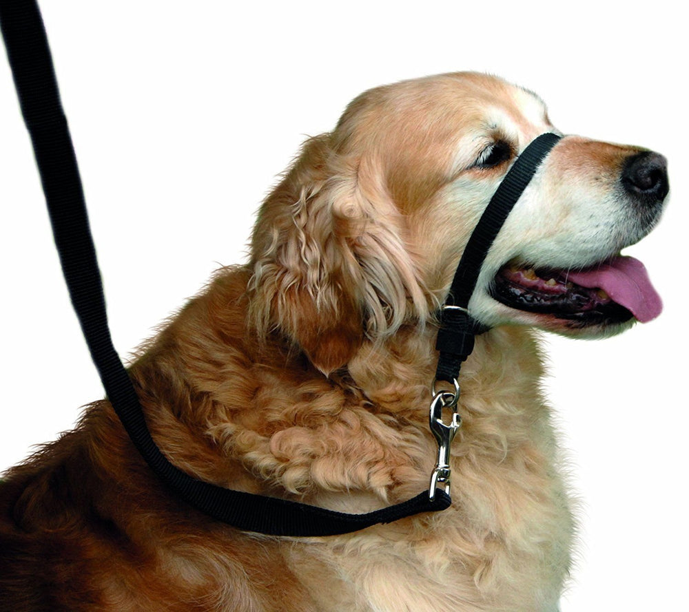 BARKLESS guía-ajuste-paso-paso facilita el entrenamiento de paseo.