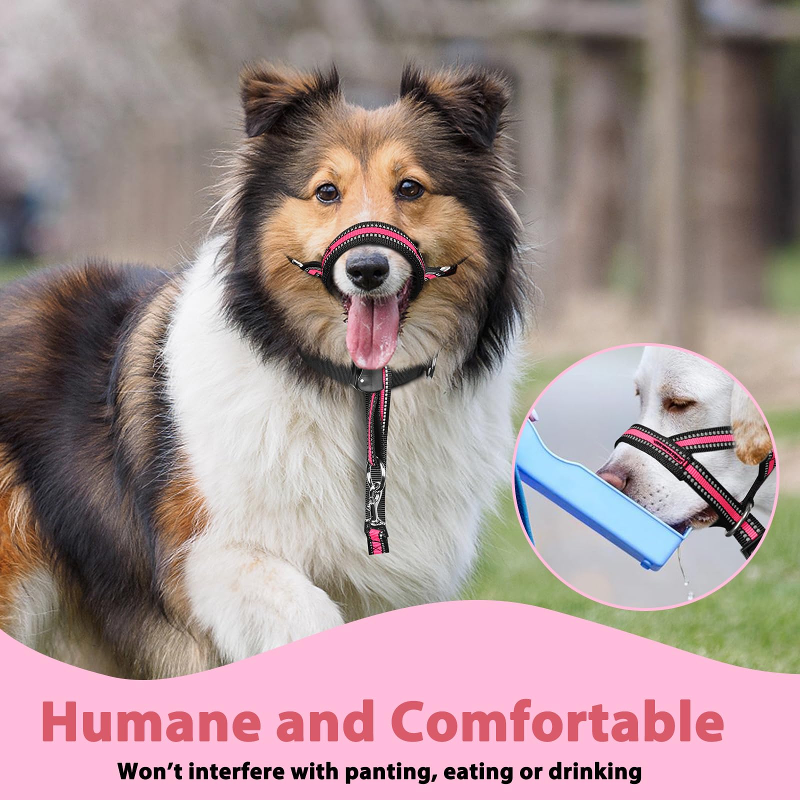 BARKLESS collar de cabeza; guía de entrenamiento para paseos seguros.