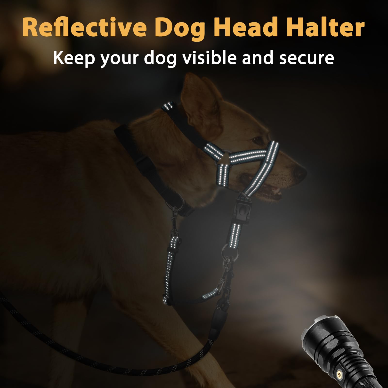 BARKLESS guía de entrenamiento con recompensas para hábitos positivos.