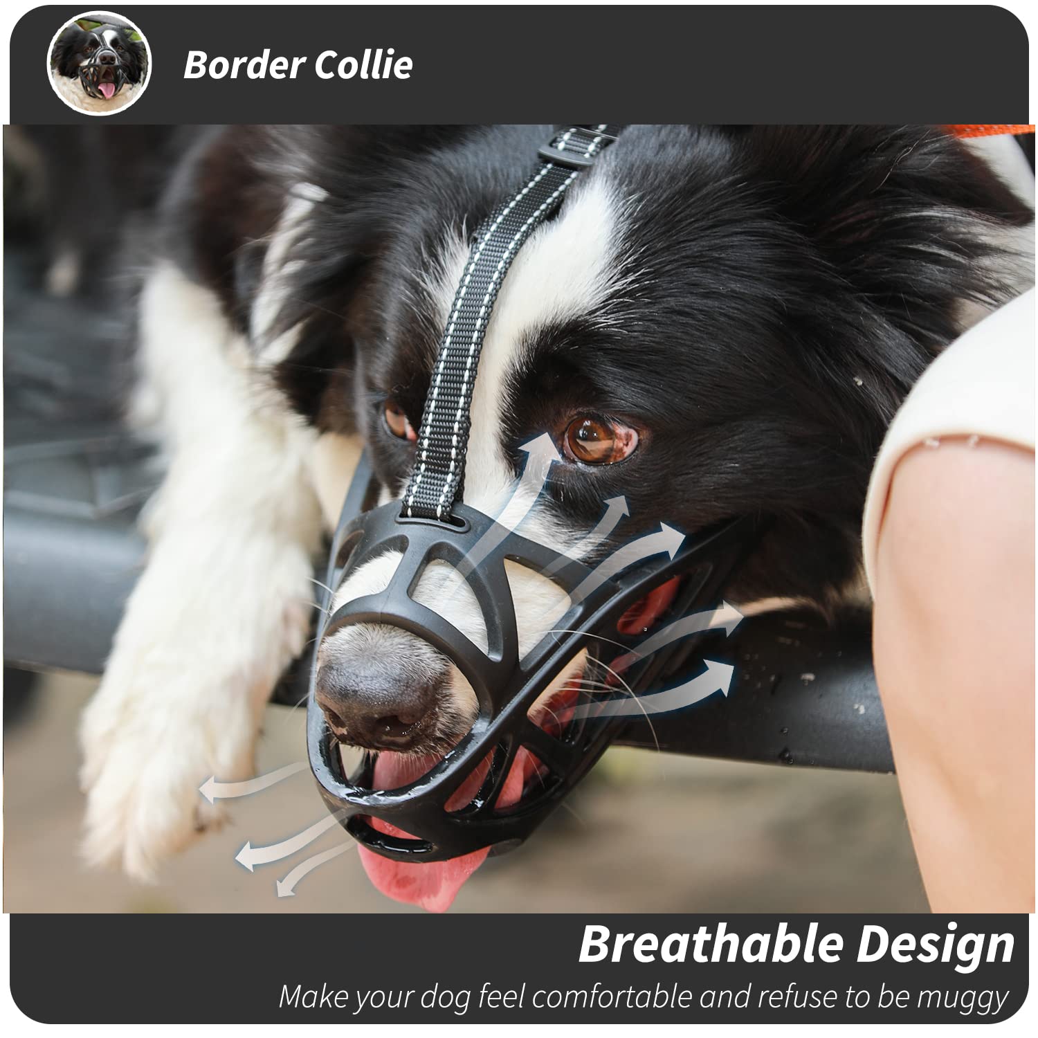 BARKLESS material suave, uso cómodo y limpieza rápida.