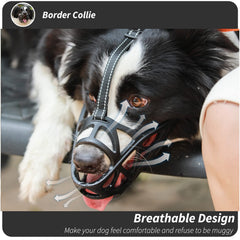 BARKLESS material suave, uso cómodo y limpieza rápida.
