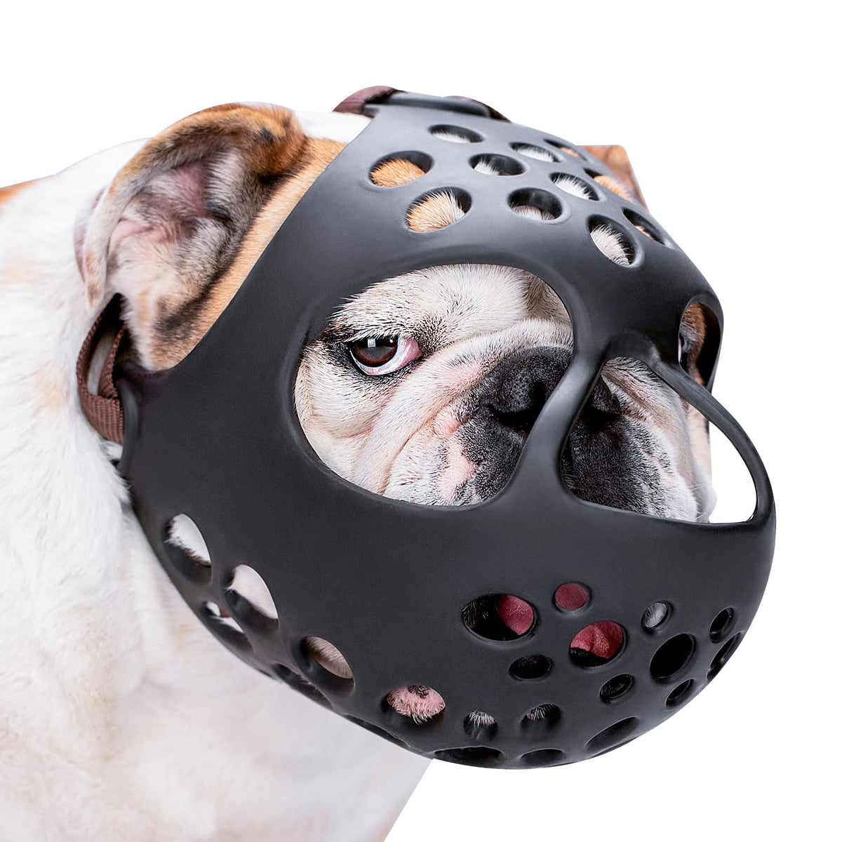 Mordaza Barkless de silicona suave para Bulldog Francés, comodidad diaria.