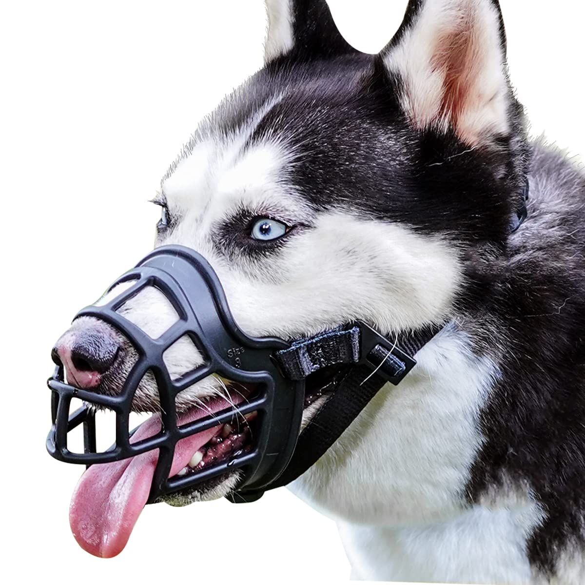 La barkless-muzzle-cesta-para-perro ofrece protección y comodidad durante paseos.