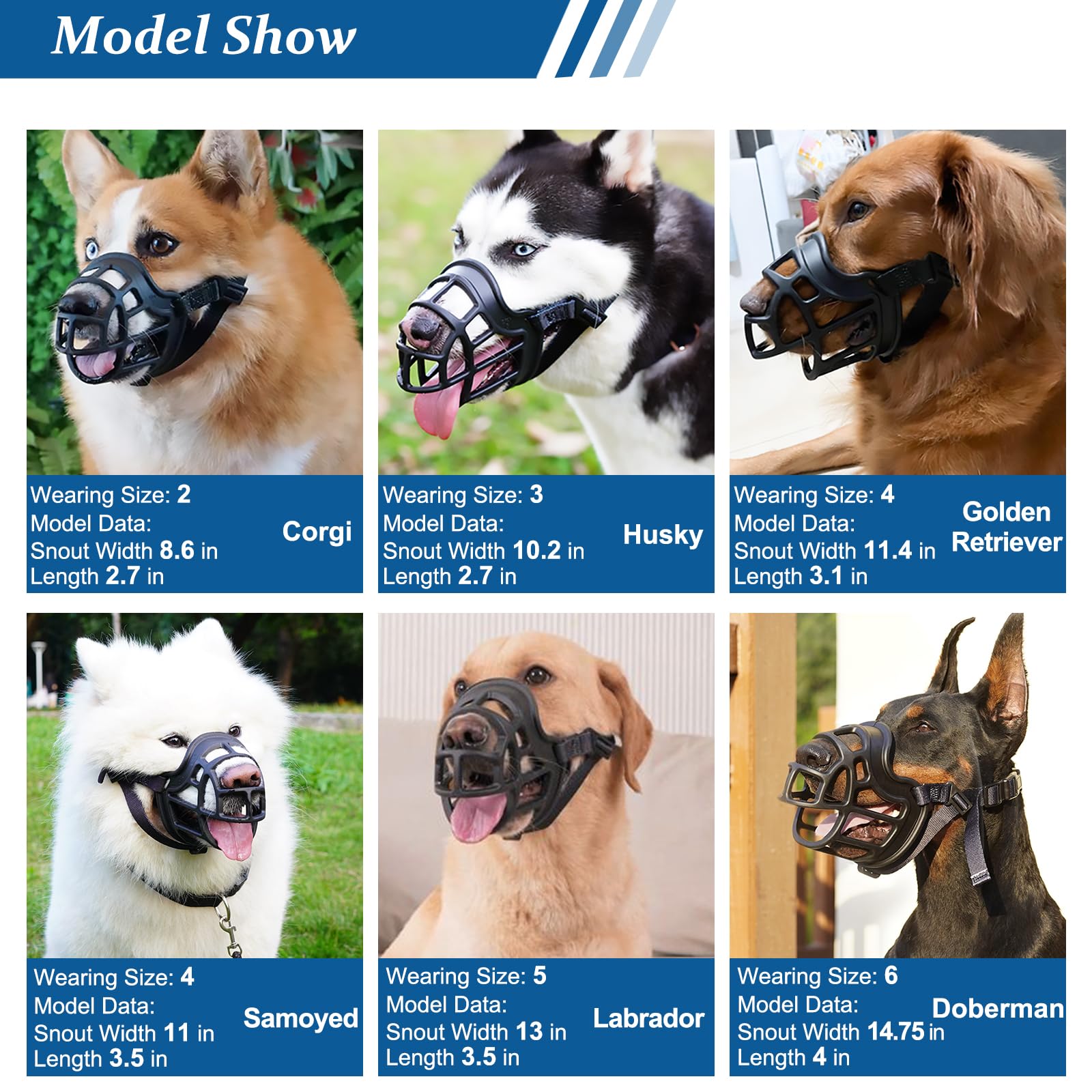 La barkless-muzzle-entrenamiento-desensibilizacion-con-premios ayuda a acostumbrar al perro.